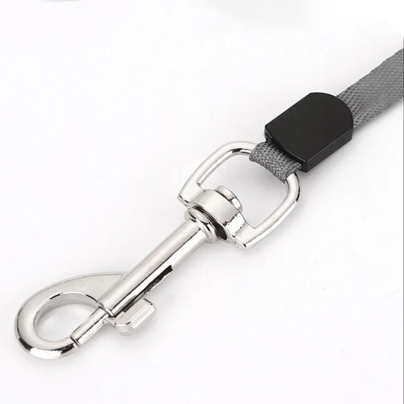 3M/5M Retractable Dog Leash – Durable Nylon Automatic Extending Lead