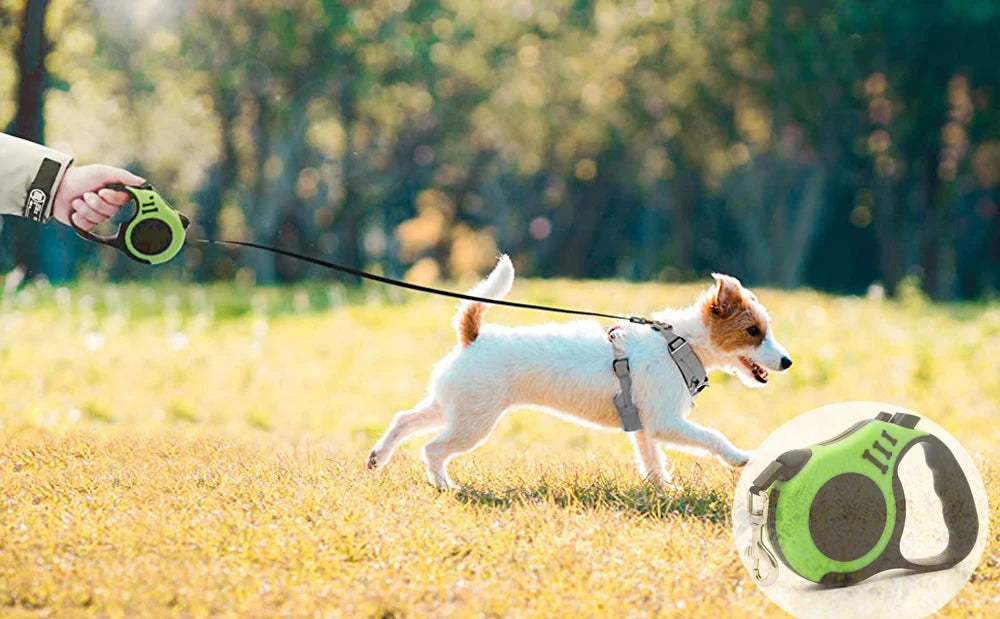3M/5M Retractable Dog Leash – Automatic Nylon Lead for Dogs
