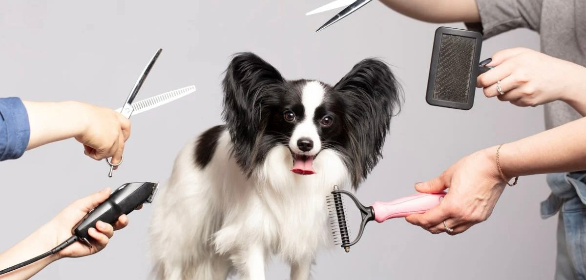 Grooming Products