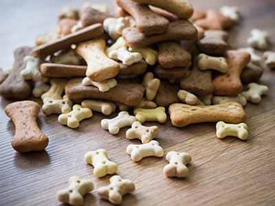 Dog Food & Treats