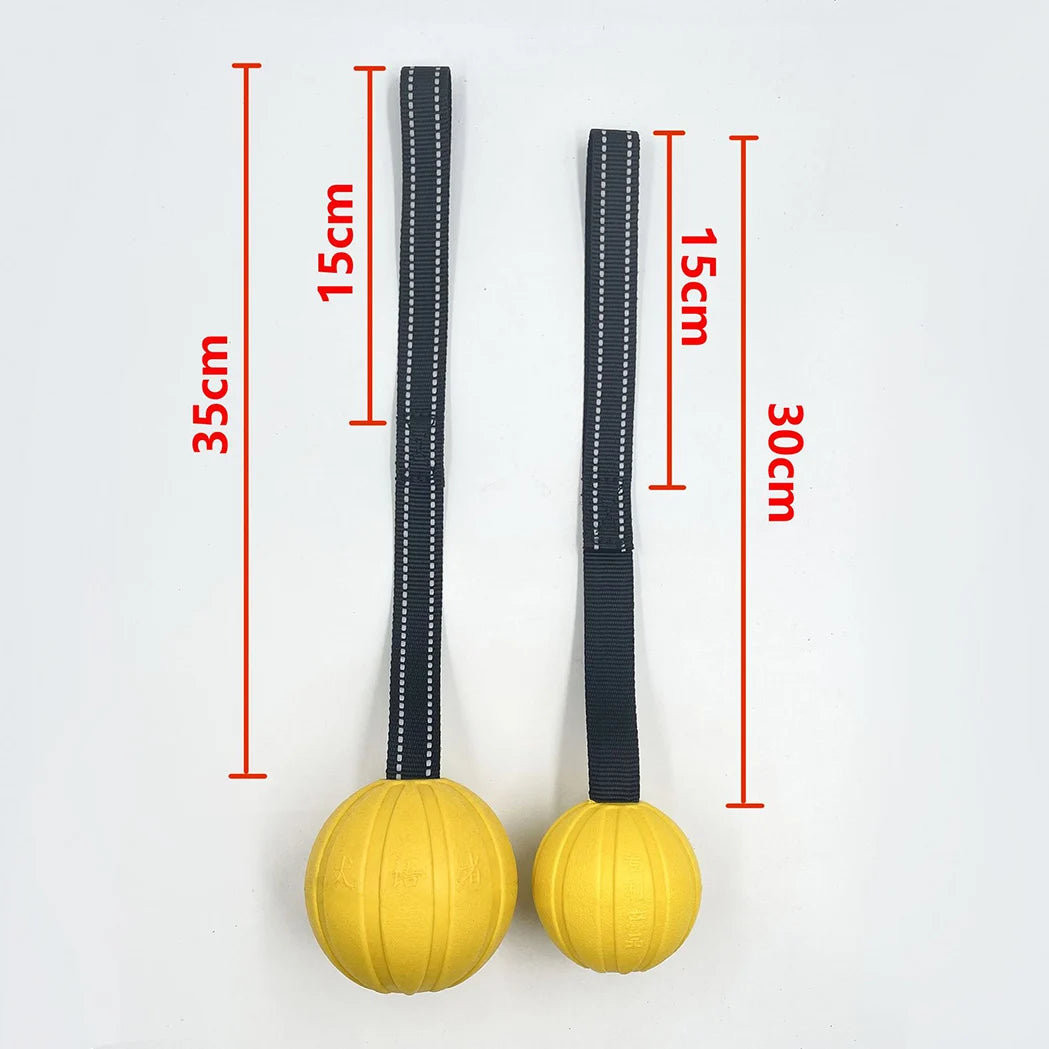 Dog Toy Balls on a Rope for Small Medium Large Dogs Chewers, Durable Interactive Ball for Training Dogs, EVA Foam Ball Floats