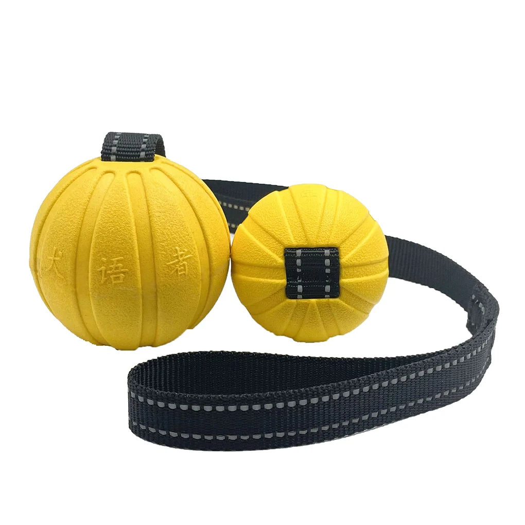 Dog Toy Balls on a Rope for Small Medium Large Dogs Chewers, Durable Interactive Ball for Training Dogs, EVA Foam Ball Floats