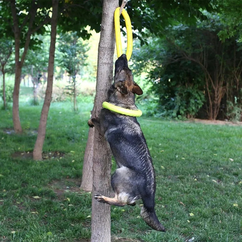 EVA Interactive Training Ring – Durable Puller & Ring Toy for Dogs