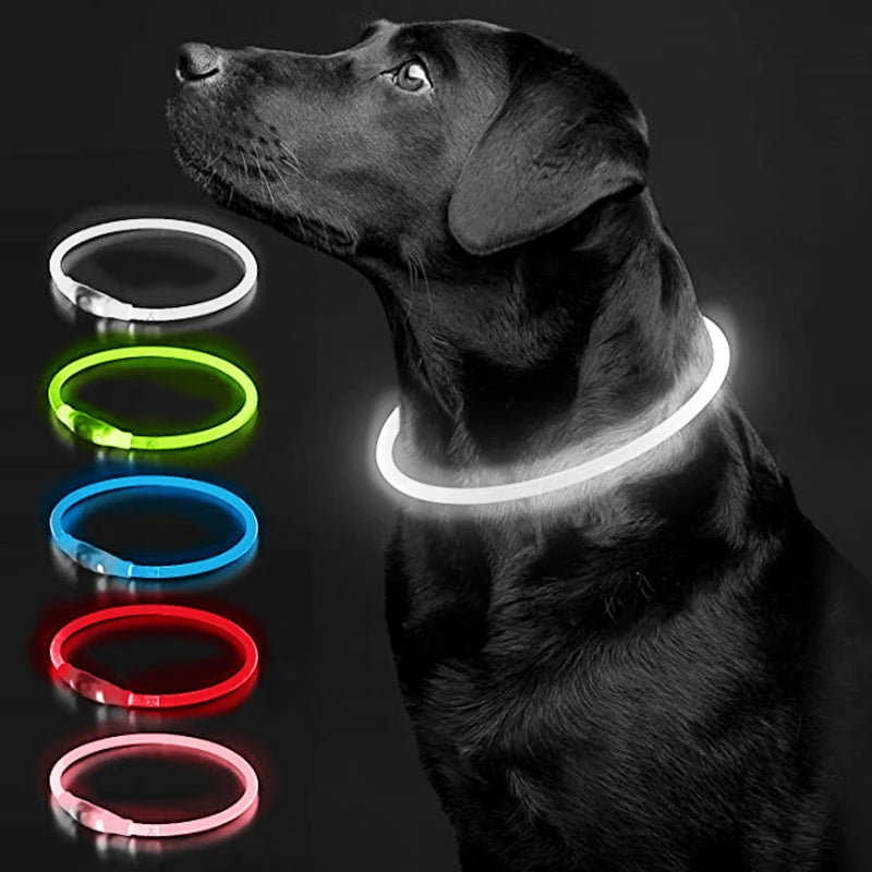 LED Glowing Pet Collar – Rechargeable Night Safety Light for Dogs & Cats