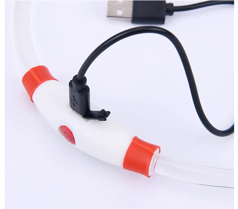 LED Glowing Pet Collar – Rechargeable Night Safety Light for Dogs & Cats
