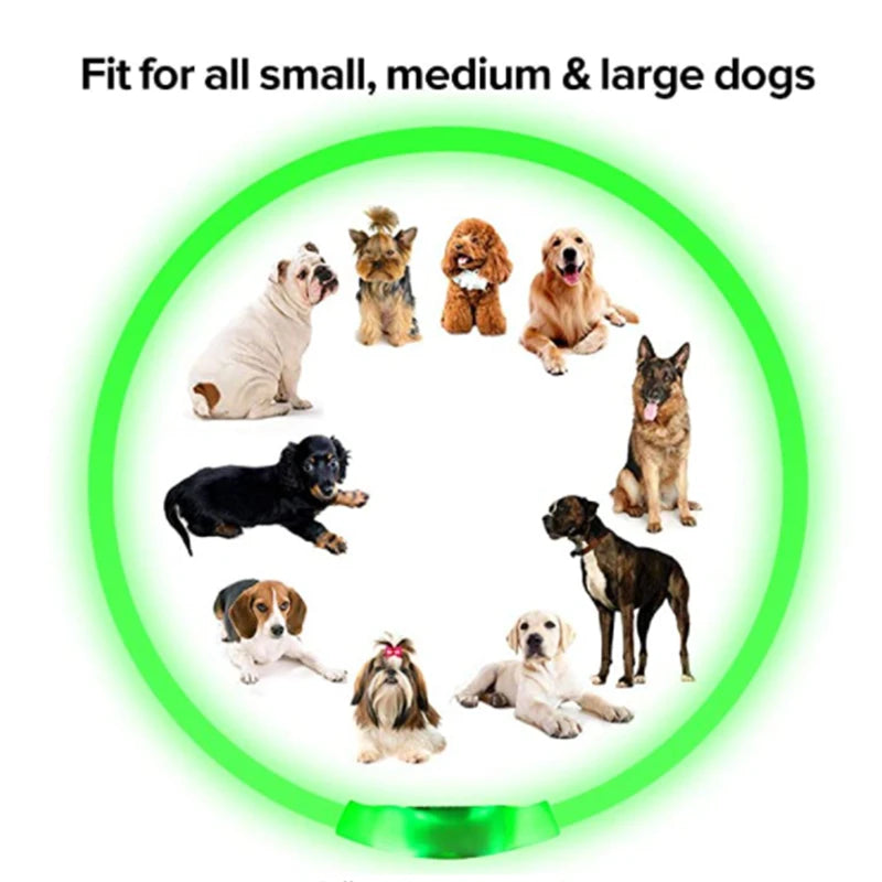 LED Glowing Pet Collar – Rechargeable Night Safety Light for Dogs & Cats