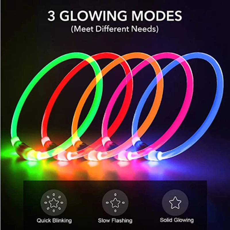 LED Glowing Pet Collar – Rechargeable Night Safety Light for Dogs & Cats