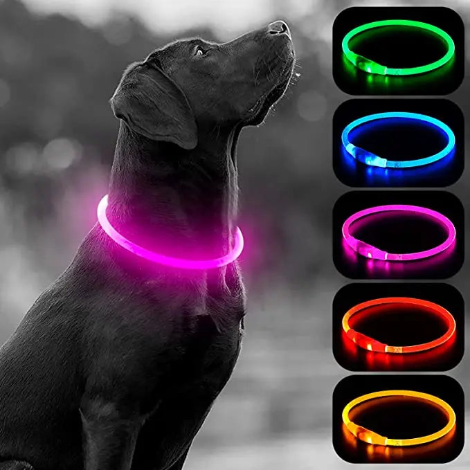 LED Glowing Pet Collar – Rechargeable Night Safety Light for Dogs & Cats