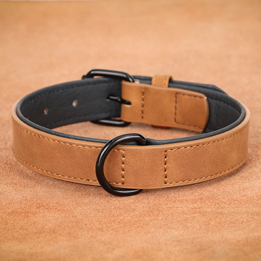 Durable Leather Dog Collar – Soft Padded Collar for Large Breeds