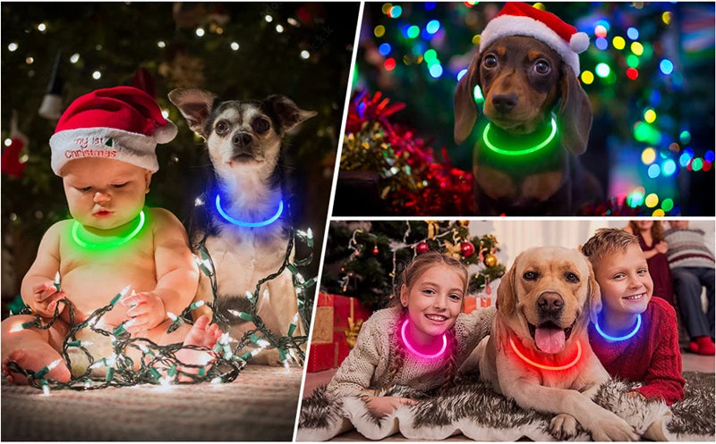 LED Glowing Pet Collar – Rechargeable Night Safety Light for Dogs & Cats