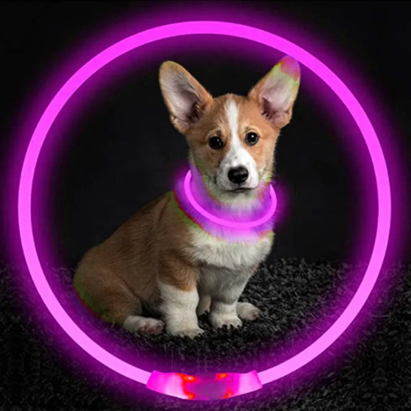 LED Glowing Pet Collar – Rechargeable Night Safety Light for Dogs & Cats