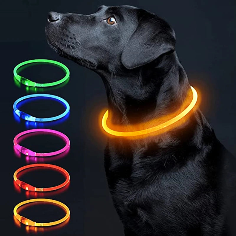 LED Glowing Pet Collar – Rechargeable Night Safety Light for Dogs & Cats