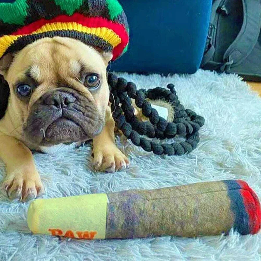 Cigar Plush Squeaky Dog Toy – Funny Chew Toy for Small & Medium Dogs