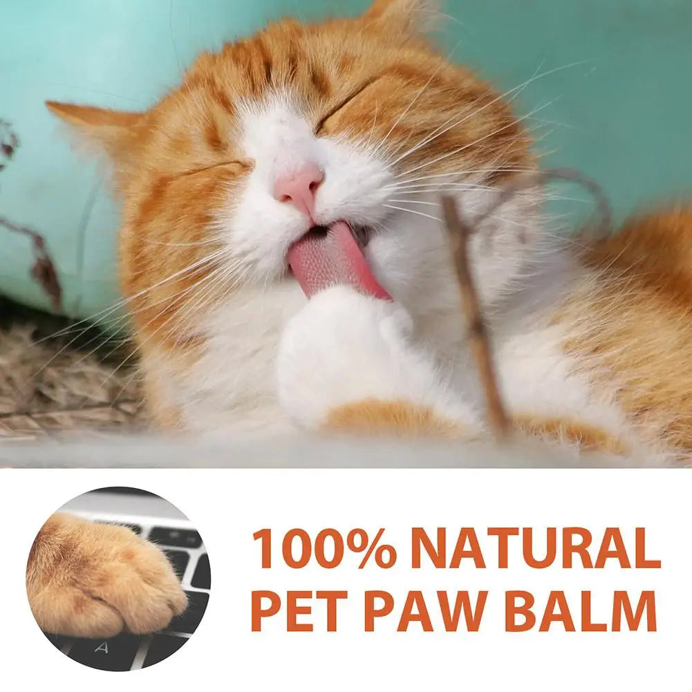 Pet Paw Balm – Moisturizing Foot Care Cream for Dogs & Cats 30g