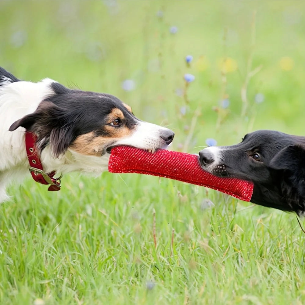 Double-Handle Dog Training Bite Stick – Durable Jute Toy for Interactive Play & Teeth Grinding