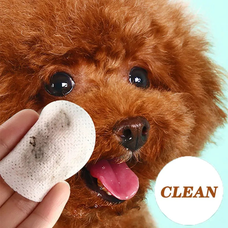 Pet Eye Wipes – Tear Stain Remover for Cats & Dogs (130pcs)