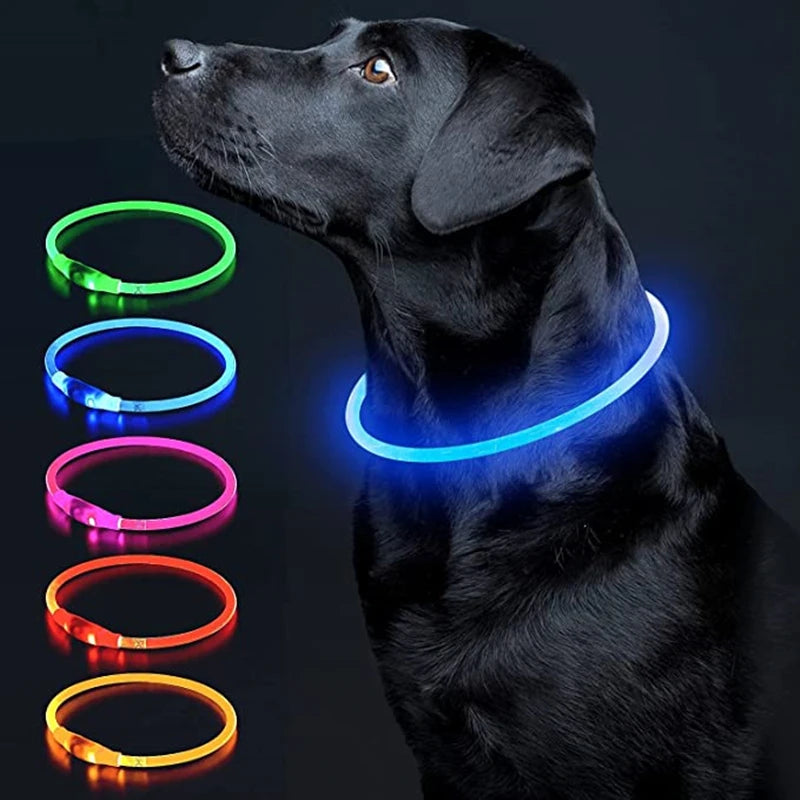 LED Glowing Pet Collar – Rechargeable Night Safety Light for Dogs & Cats