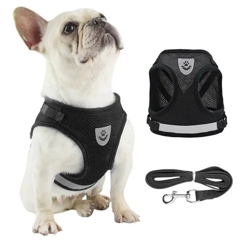 Adjustable Reflective Dog Harness & Leash Set – Escape-Proof Mesh Vest for Small Dogs & Cats