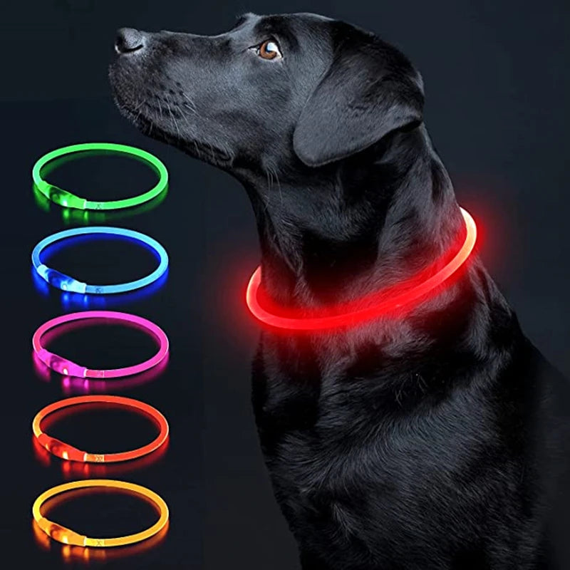 LED Glowing Pet Collar – Rechargeable Night Safety Light for Dogs & Cats
