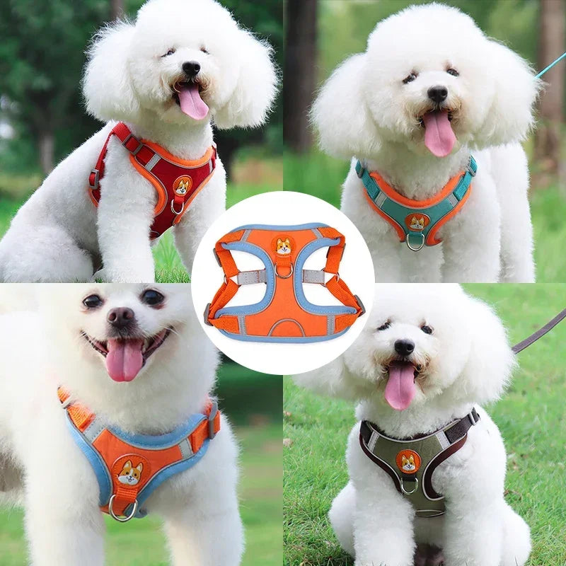 No Pull Adjustable Dog Harness and Leash Set – Reflective Mesh Walking Vest for Small Dogs