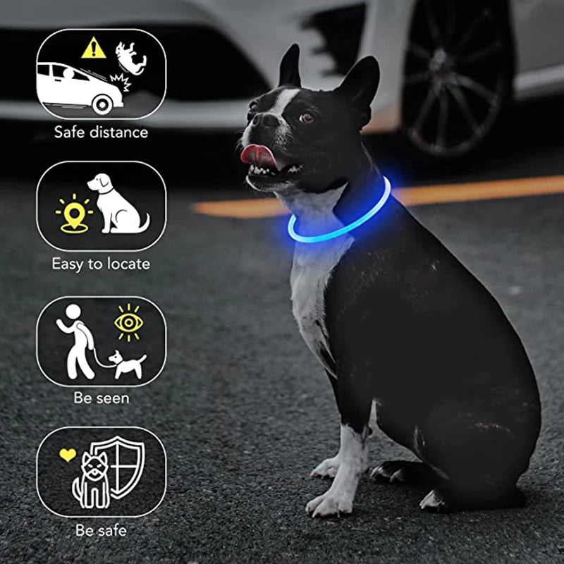 LED Glowing Pet Collar – Rechargeable Night Safety Light for Dogs & Cats