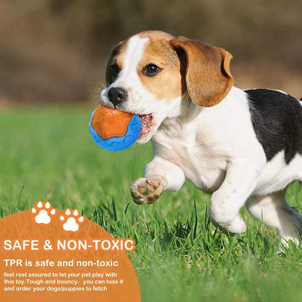 Multifunctional Rubber Dog Toy Set – Interactive Squeaky Wheel, Ball & Chew Toys for Large Breeds