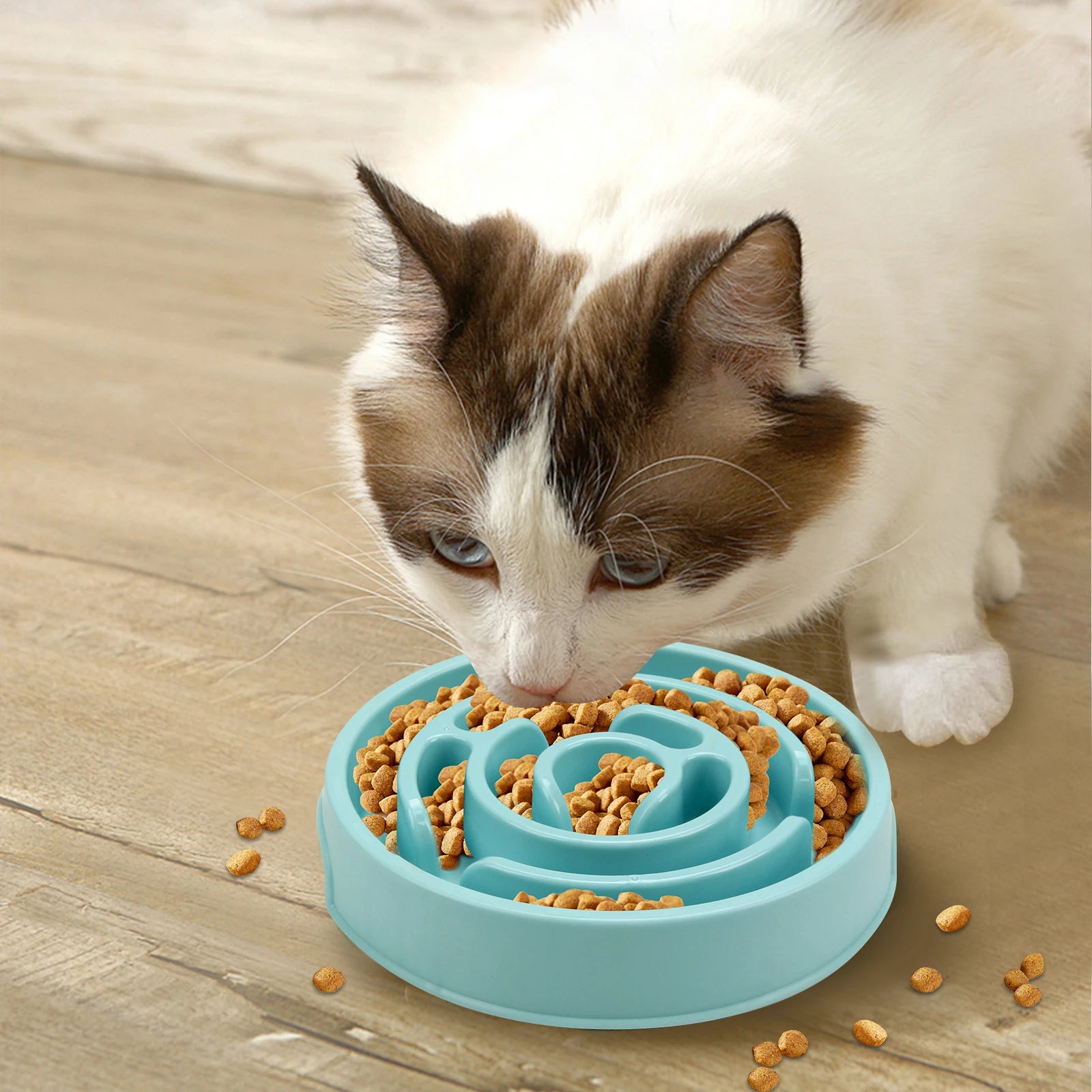 Non-Slip Slow Feeder Dog Bowl – Anti-Gulping Food Dish for All Breeds