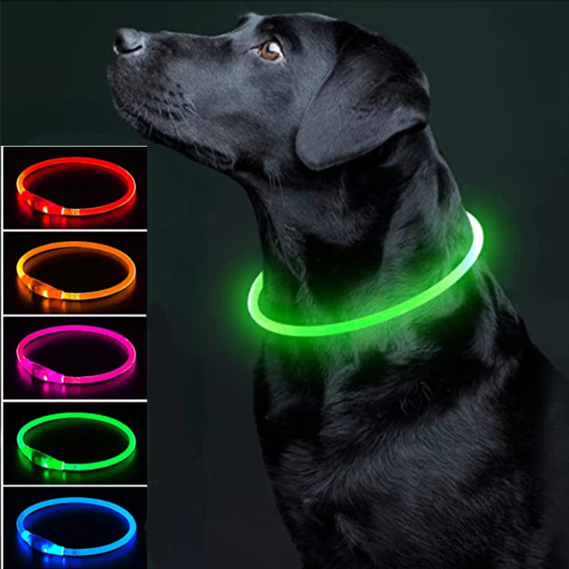 LED Glowing Pet Collar – Rechargeable Night Safety Light for Dogs & Cats