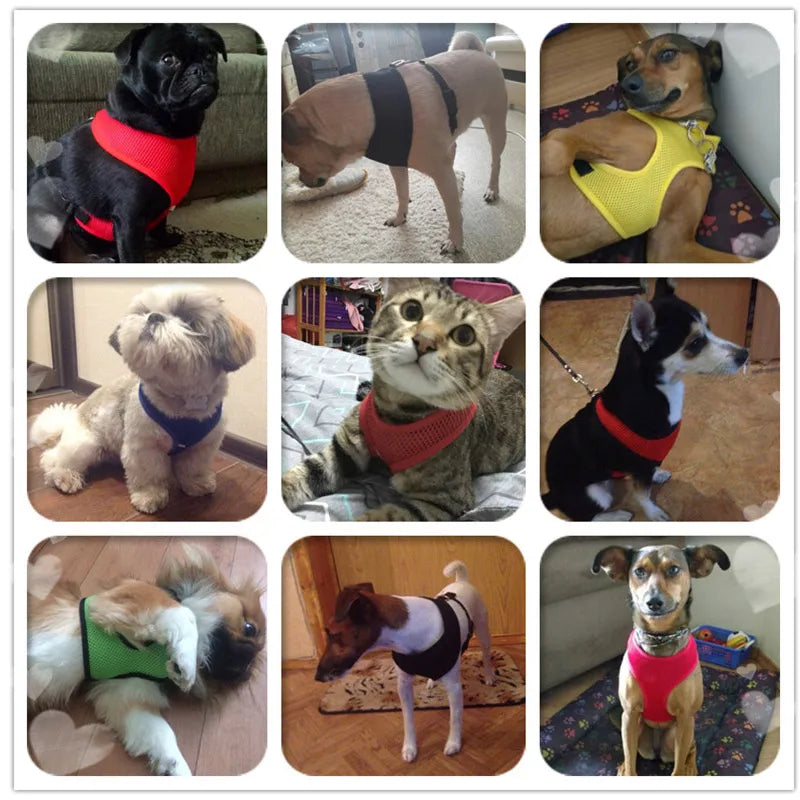 Breathable Mesh No-Pull Dog Harness – Adjustable Safety Vest for Small Dogs