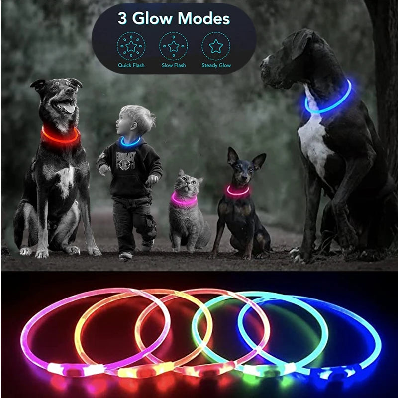 LED Glowing Pet Collar – Rechargeable Night Safety Light for Dogs & Cats