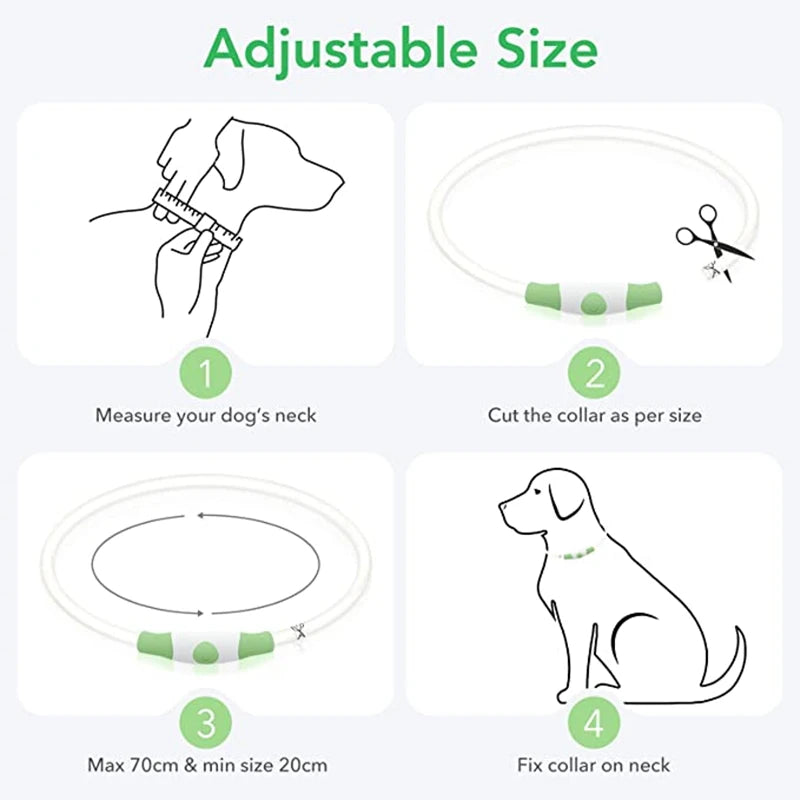 LED Glowing Pet Collar – Rechargeable Night Safety Light for Dogs & Cats