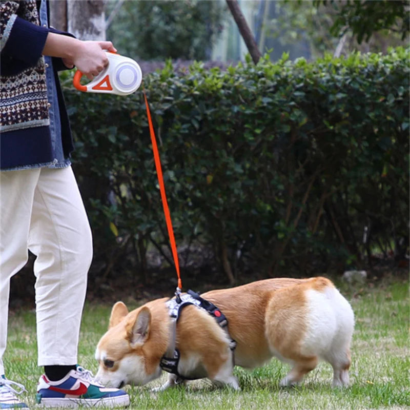 5M Automatic Retractable Dog Leash with LED Flashlight – Durable Nylon Walking Lead