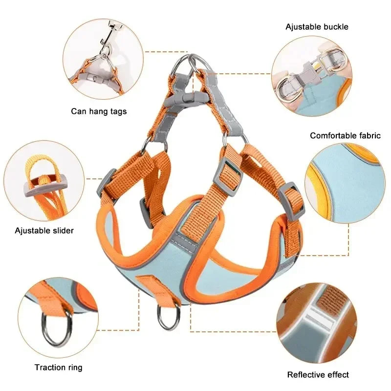 No Pull Adjustable Dog Harness and Leash Set – Reflective Mesh Walking Vest for Small Dogs