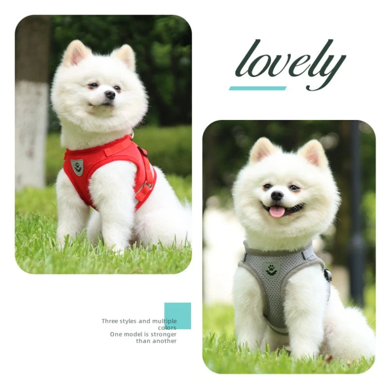Adjustable Reflective Dog Harness & Leash Set – Escape-Proof Mesh Vest for Small Dogs & Cats