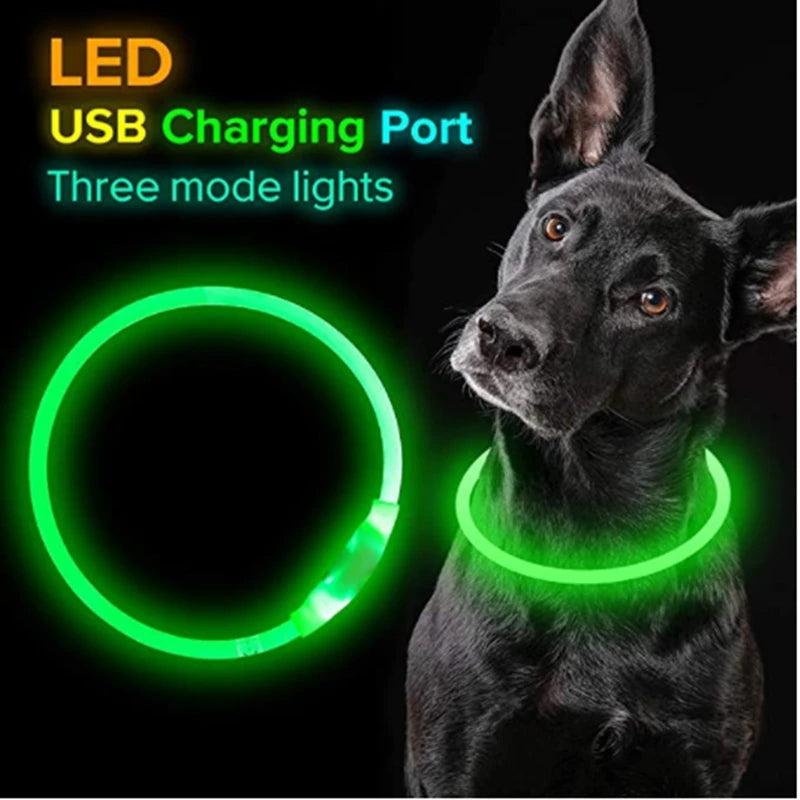 LED Glowing Pet Collar – Rechargeable Night Safety Light for Dogs & Cats