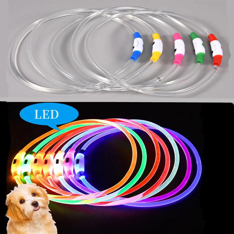 LED Glowing Pet Collar – Rechargeable Night Safety Light for Dogs & Cats