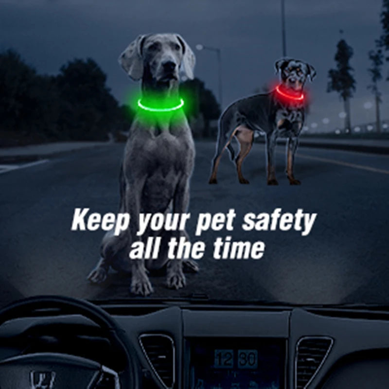 LED Glowing Pet Collar – Rechargeable Night Safety Light for Dogs & Cats