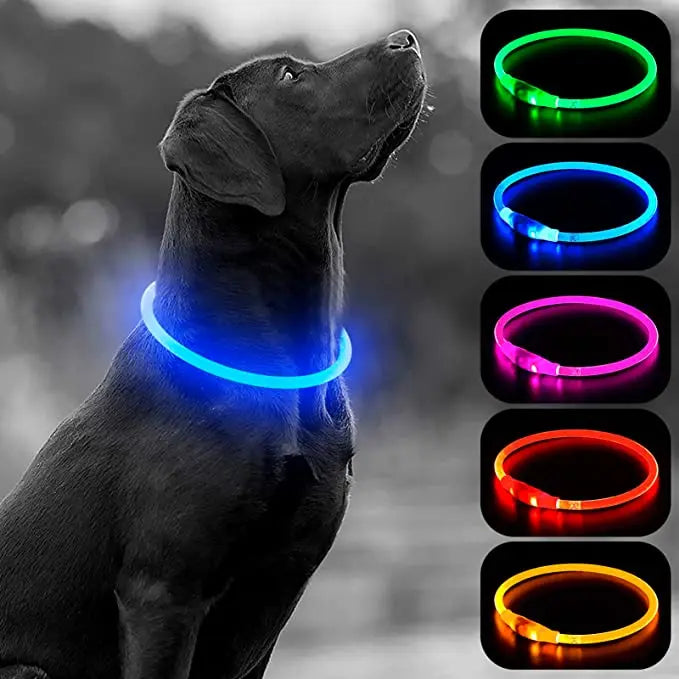 LED Glowing Pet Collar – Rechargeable Night Safety Light for Dogs & Cats