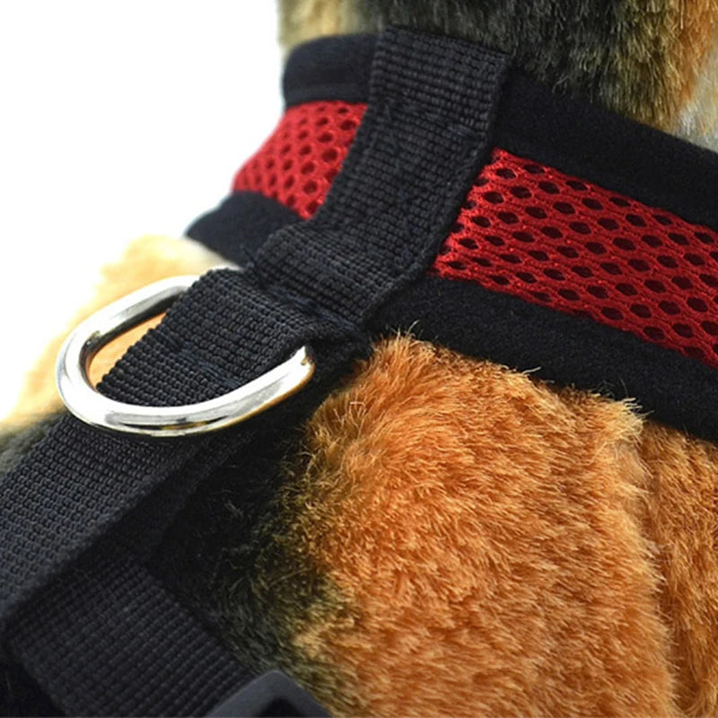 Breathable Mesh No-Pull Dog Harness – Adjustable Safety Vest for Small Dogs