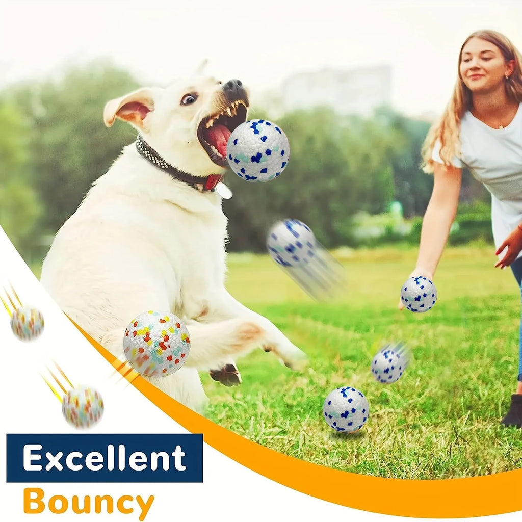 Durable Chew Ball Dog Toy – For Interactive Play