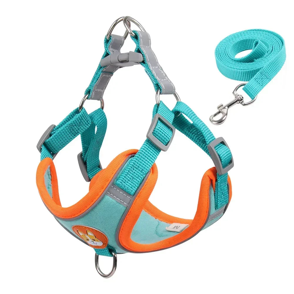 No Pull Adjustable Dog Harness and Leash Set – Reflective Mesh Walking Vest for Small Dogs