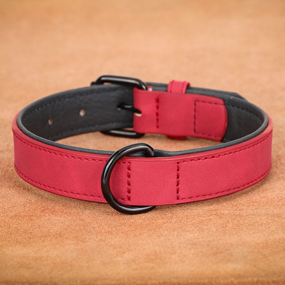 Durable Leather Dog Collar – Soft Padded Collar for Large Breeds
