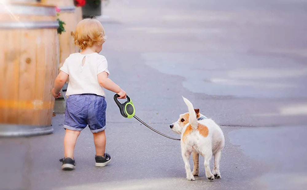 3M/5M Retractable Dog Leash – Automatic Nylon Lead for Dogs