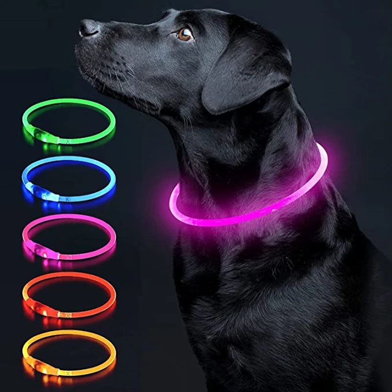 LED Glowing Pet Collar – Rechargeable Night Safety Light for Dogs & Cats