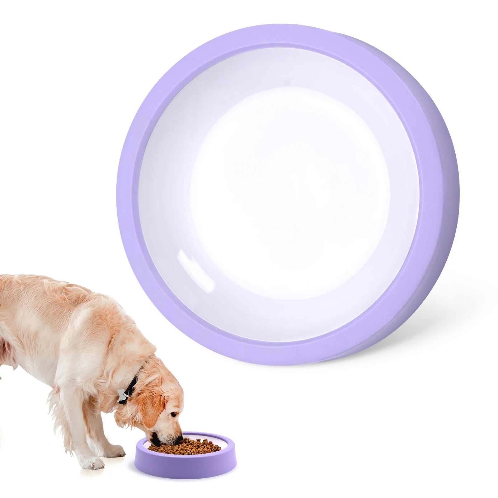 Non-Slip Slow Feeder Dog Bowl – Anti-Gulping Food Dish for All Breeds