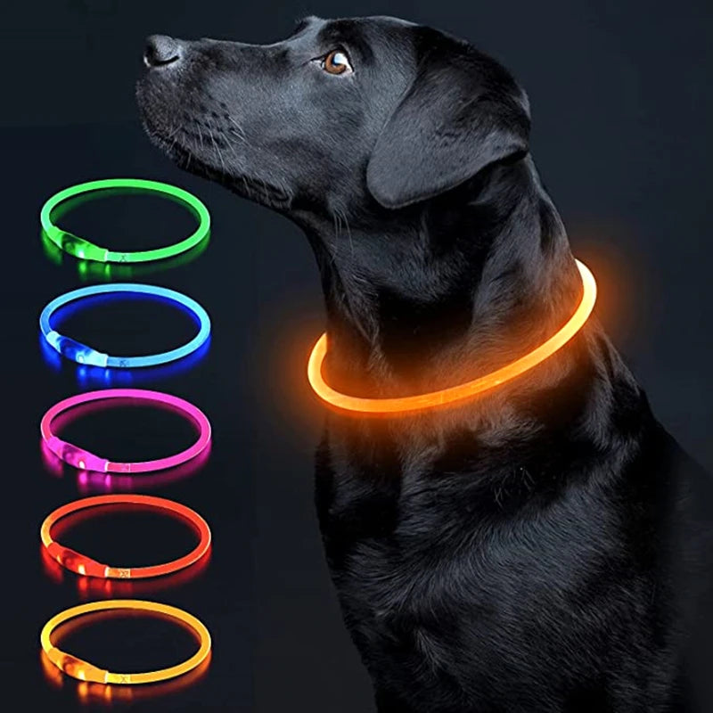 LED Glowing Pet Collar – Rechargeable Night Safety Light for Dogs & Cats