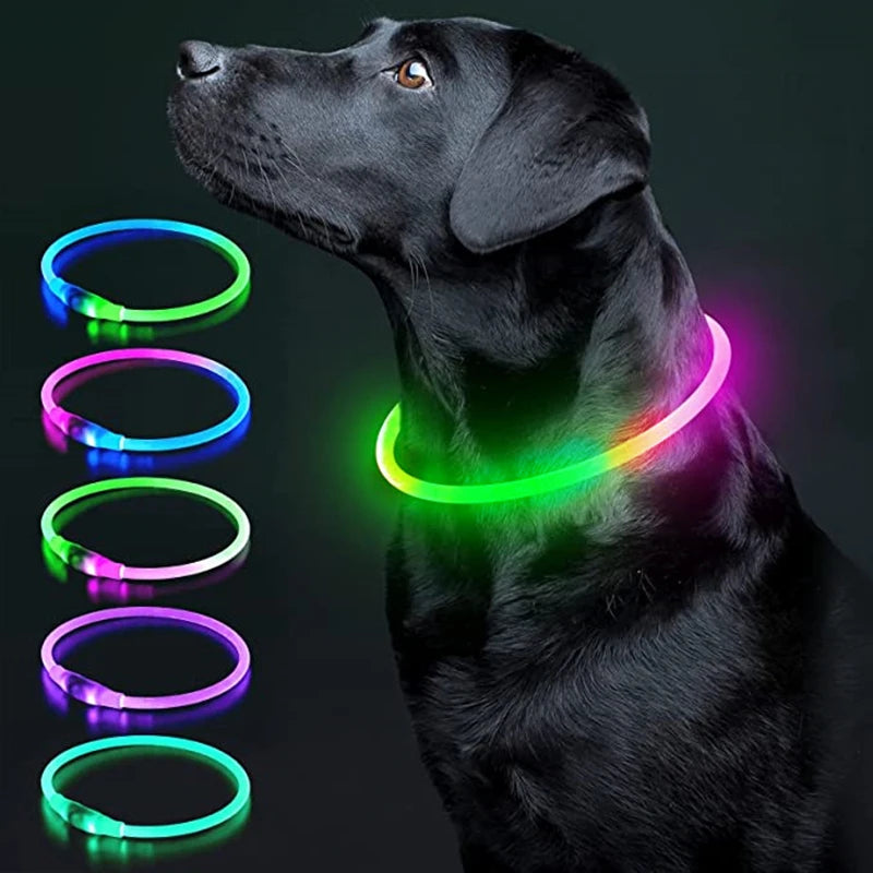 LED Glowing Pet Collar – Rechargeable Night Safety Light for Dogs & Cats