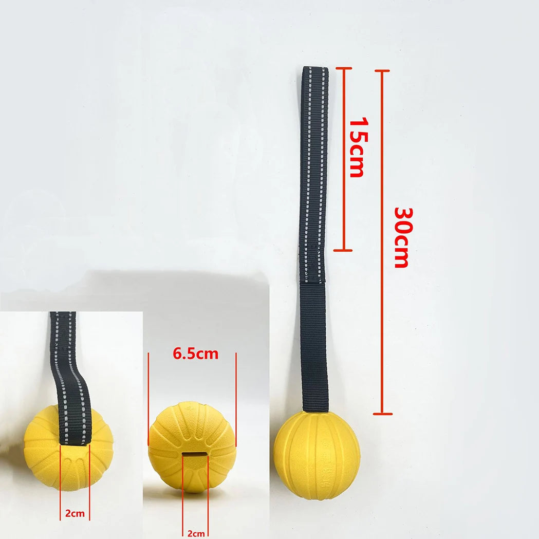 Dog Toy Balls on a Rope for Small Medium Large Dogs Chewers, Durable Interactive Ball for Training Dogs, EVA Foam Ball Floats